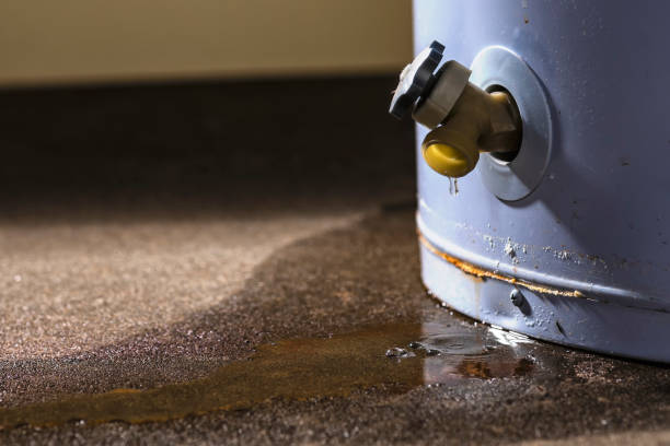 Best Water damage mitigation services  in Pughtown, PA