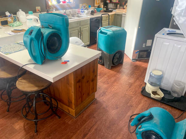 Best Water damage restoration near me  in Pughtown, PA