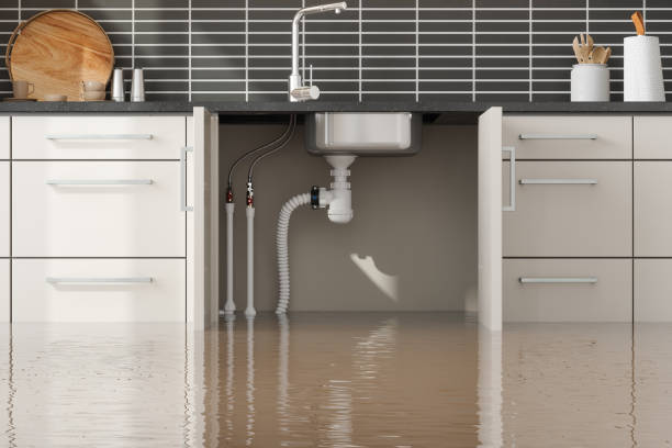 Best Flooded house restoration  in Pughtown, PA