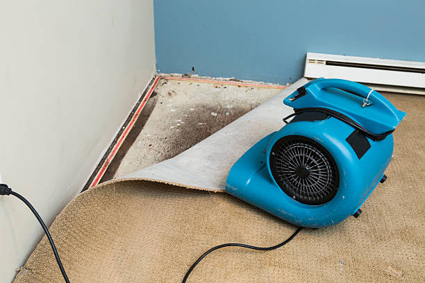 Best Basement water damage restoration  in Pughtown, PA